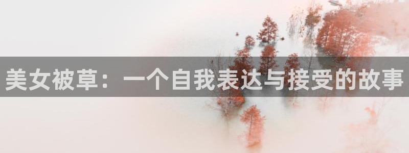 香蕉漫画网站入口